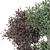 Outdoor Bush Plants Set 989 3D model small image 5