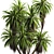 Premium Mountain Cabbage Tree Model 3D model small image 4