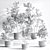 Modern Indoor Plant Set - 3Ds Max & OBJ 3D model small image 9