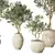 Lush Olive Tree Indoor Decor 3D model small image 3