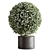 Topiary Ball Indoor Plant Symbol 3D model small image 1