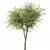 Russian Cherry Tree No.41 Statue 3D model small image 3