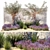 Lavender & Olive Collection 3D model small image 1