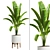 Tropical Banana Indoor Plant 3D model small image 1