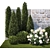 Hydrangea & Cypress Landscape Collection 3D model small image 2