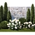 Hydrangea & Cypress Landscape Collection 3D model small image 3