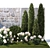 Hydrangea & Cypress Landscape Collection 3D model small image 6