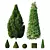 Betula Pendula 3D Evergreen Shrub 3D model small image 1