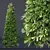 Betula Pendula 3D Evergreen Shrub 3D model small image 5