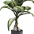 Tropic Dieffenbachia Tree 3D Model 3D model small image 4