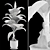 Tropic Dieffenbachia Tree 3D Model 3D model small image 7