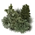 Ornamental Outdoor Bush Set 1700 3D model small image 2