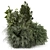 Ornamental Outdoor Bush Set 1700 3D model small image 3