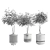 Modern Plant Collection Set 19 3D model small image 2