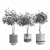 Modern Plant Collection Set 19 3D model small image 6