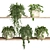 Botanical Oasis Shelf Display 3D model small image 1