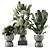  Indoor Plants in Rusty Concrete Pot Set 3D model small image 1