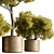 Botanical Bliss: Tree in Pot 3D model small image 3