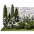 White Flowering Plants Collection 3D model small image 2