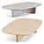 Zen-Inspired Tobi-Ishi Coffee Table 3D model small image 2