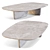 Zen-Inspired Tobi-Ishi Coffee Table 3D model small image 4