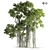 Ficus Bonsai 3D Model Kit 3D model small image 1