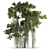 Ficus Bonsai 3D Model Kit 3D model small image 2