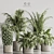 Modern Indoor Plant Set 119 3D model small image 1