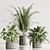 Modern Indoor Plant Set 119 3D model small image 3