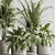 Modern Indoor Plant Set 119 3D model small image 4