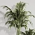 Modern Indoor Plant Set 119 3D model small image 5