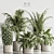 Modern Indoor Plant Set 119 3D model small image 8