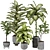 Tropic Tree Indoor Plant Collection 3D model small image 1