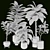 Tropic Tree Indoor Plant Collection 3D model small image 7