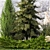 Landscape Design Plant Collection 3D model small image 4