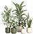 Modern Indoor Plant Set with Ceramic Pot 3D model small image 1