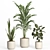 Modern Indoor Plant Set with Ceramic Pot 3D model small image 2