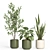 Modern Indoor Plant Set with Ceramic Pot 3D model small image 3