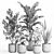 Modern Indoor Plant Set with Ceramic Pot 3D model small image 4