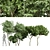 Botanical 3D Tree Models Pack 3D model small image 1