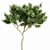 Botanical 3D Tree Models Pack 3D model small image 4