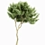 Botanical 3D Tree Models Pack 3D model small image 5