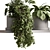 Hanging Indoor Plant 598 3D model small image 4