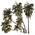 Coconut Palm Trees Set 3D model small image 8