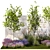 Landscape Plant Collection: Hazel, Lavender, Grass 3D model small image 2