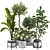 Tropical Indoor Plant Set Mesh 3D model small image 1