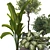 Tropical Indoor Plant Set Mesh 3D model small image 2