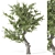  2015 Outdoor Umbrella Tree Model 3D model small image 1