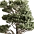 Cypress Tree - Outdoor Greenery 3D model small image 2