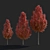 Chanticlee Autumn Pear Tree Collection 3D model small image 4